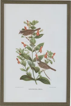 Постеры Birds 40X60 / 40X60 / 40X60 / 40X60 CM