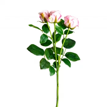 Цветок розы Rosal 48 CM