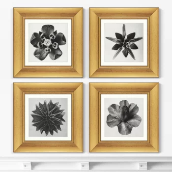 Набор постеров Lime Mallow 36X36 / 36X36 / 36X36 / 36X36 CM