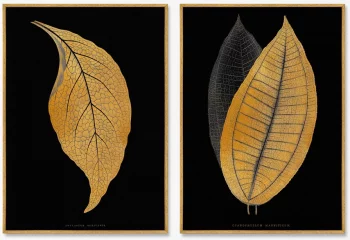 Постеры на холсте Two leaves 75X105 / 75X105 CM