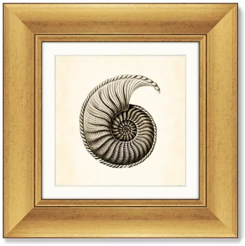 Диптих Marine life 36X36 / 36X36 CM