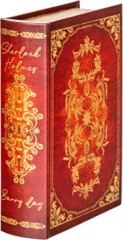Шкатулка в виде книги Oengus 19X7X27 CM