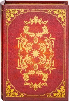 Шкатулка в виде книги Oengus 19X7X27 CM