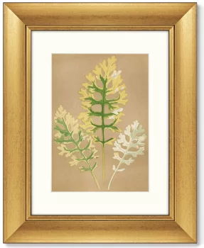 Диптих Cineraria Maritima 41X51 / 41X51 CM