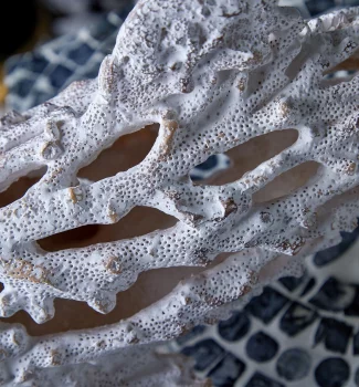Декор настольный Coral Shark 50X20X19 CM