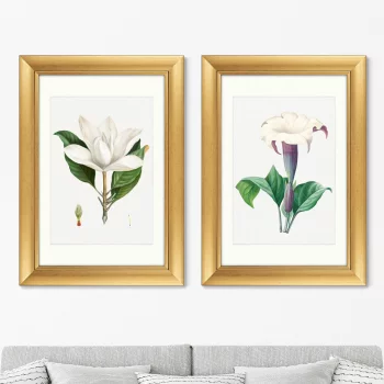 Диптих Antique plants drawn 51X71 / 51X71 CM