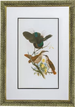 Комплект из двух постеров в раме Bird 50X70 / 50X70 CM