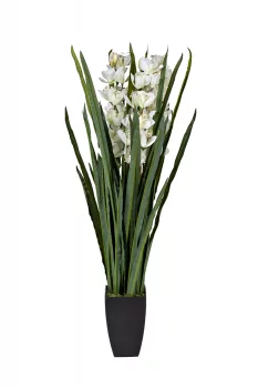 Искусственная орхидея Cymbidium белая в горшке 60X60X110 CM