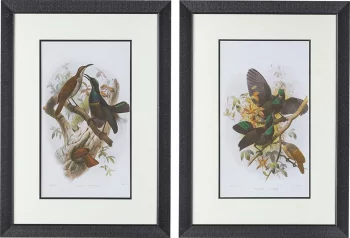 Постеры Birds 50X70 / 50X70 CM
