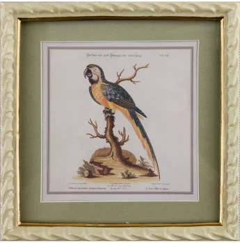 Панно настенное Parrot 22X23 CM