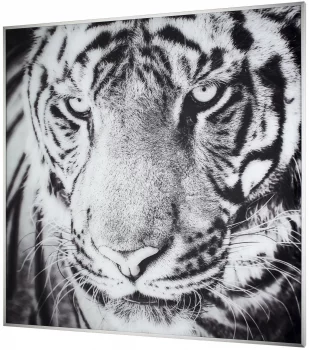 Постер Miraz 80X80 CM