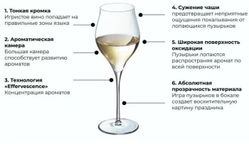 Бокал-флюте для шампанского Exaltation 300 ml