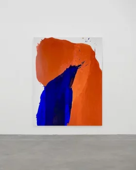 Красно-синий 162X125X4 CM