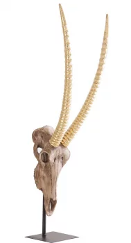 Настольный декор Oryx Skull 23X16X88 CM