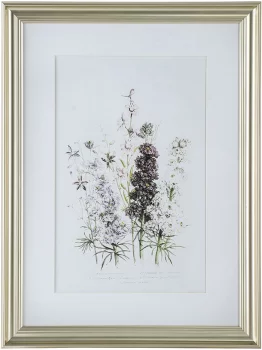 Постеры Wild flowers 42X62 / 60X80 / 42X62 CM