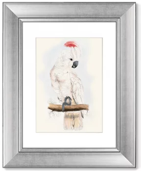 Диптих White cockatoo 41X51 / 41X51 CM