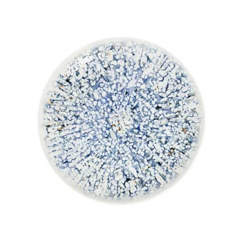 Mosaic Blue Тарелка 25см 1972 [6]