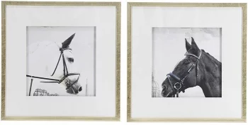 Комплект из двух постеров Horses 56X56 / 56X56 CM