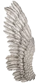 Панно в виде двух крыльев Wings 116X45 / 116X45 CM