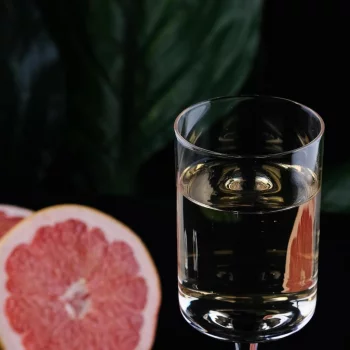 Бокал для коктейля Protea Cocktail Week 150 ml