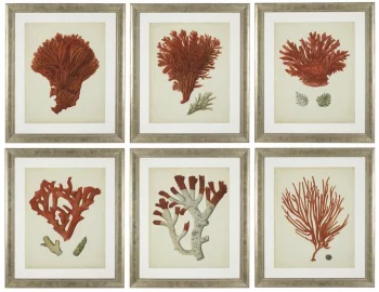 Постеры Antique Red Corals 68X58 / 68X58 / 68X58 / 68X58 / 68X58 / 68X58 CM