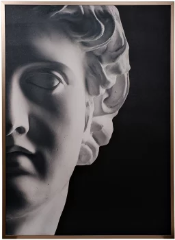 Холст Apollonian 100X140 CM