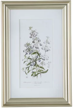 Постеры Wild flowers 42X62 / 60X80 / 42X62 CM