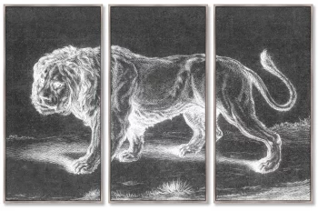 Репродукци из 3-х частей Lion 52X105 / 52X105 / 52X105 CM