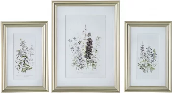 Постеры Wild flowers 42X62 / 60X80 / 42X62 CM