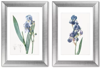 Диптих Dalmatian iris 51X71 / 51X71 CM