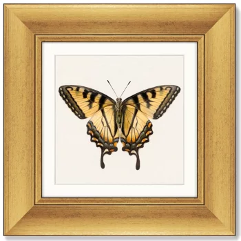 Диптих Two butterflies 36X36 / 36X36 CM