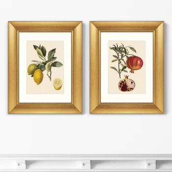 Диптих Juicy fruit lithography 41X51 / 41X51 CM