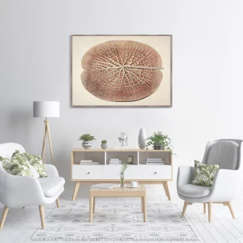 Постер Leaf of a gigantic water lily 105X75 CM