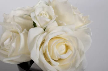 Аромадиффузор Five Rose White, спрей White Gardenia, 10 мл 15X14X15 CM