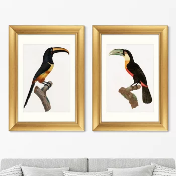 Диптих Beautiful toucans 51X71 / 51X71 CM