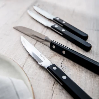 Нож для стейка Trattoria Bright 22 CM