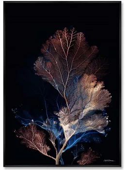 Композиция из двух репродукций картин на холсте Coral Symphony in the Color of Night 75X105 / 75X105 CM