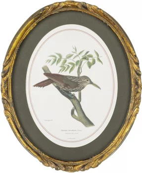 Панно настенное Birdwatcher 23X28 CM