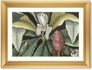 Постер Beauty bloom 81X61 CM