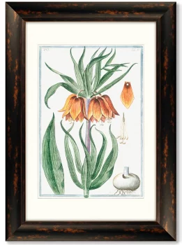 Диптих Flore pulchre rubente 51X71 / 51X71 CM
