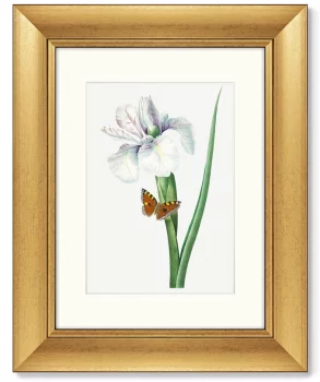 Диптих Antique plants drawn 41X51 / 41X51 CM