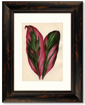 Диптих Botanical Leaf Dracaena 41X51 / 41X51 CM