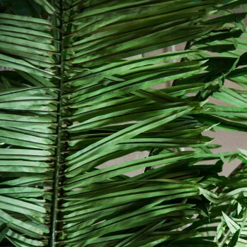 Искусственная пальма Palmera 271X271X550 CM