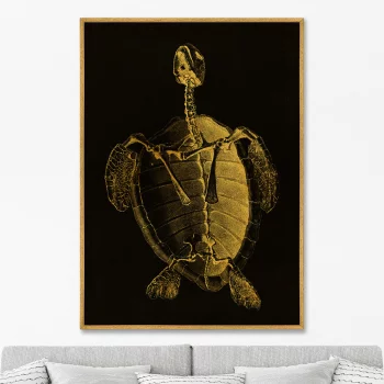 Постер на холсте Turtle Skeleton 75X105 CM