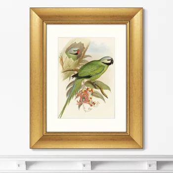 Постер Love parrots 41X51 CM