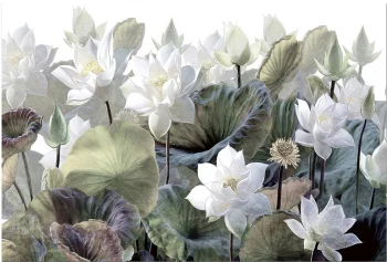Постер на стекле Nenufares 150X100 CM