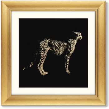 Набор двух постеров The Golden Cats 61X61 / 61X61 CM