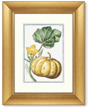 Диптих Cucumber & Melopepo 41X51 / 41X51 CM