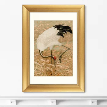Постер Sarus crane in rice field 51X71 CM