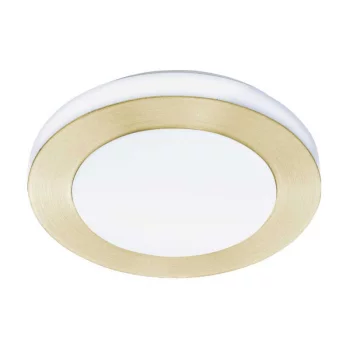Накладной светильник LED Carpi